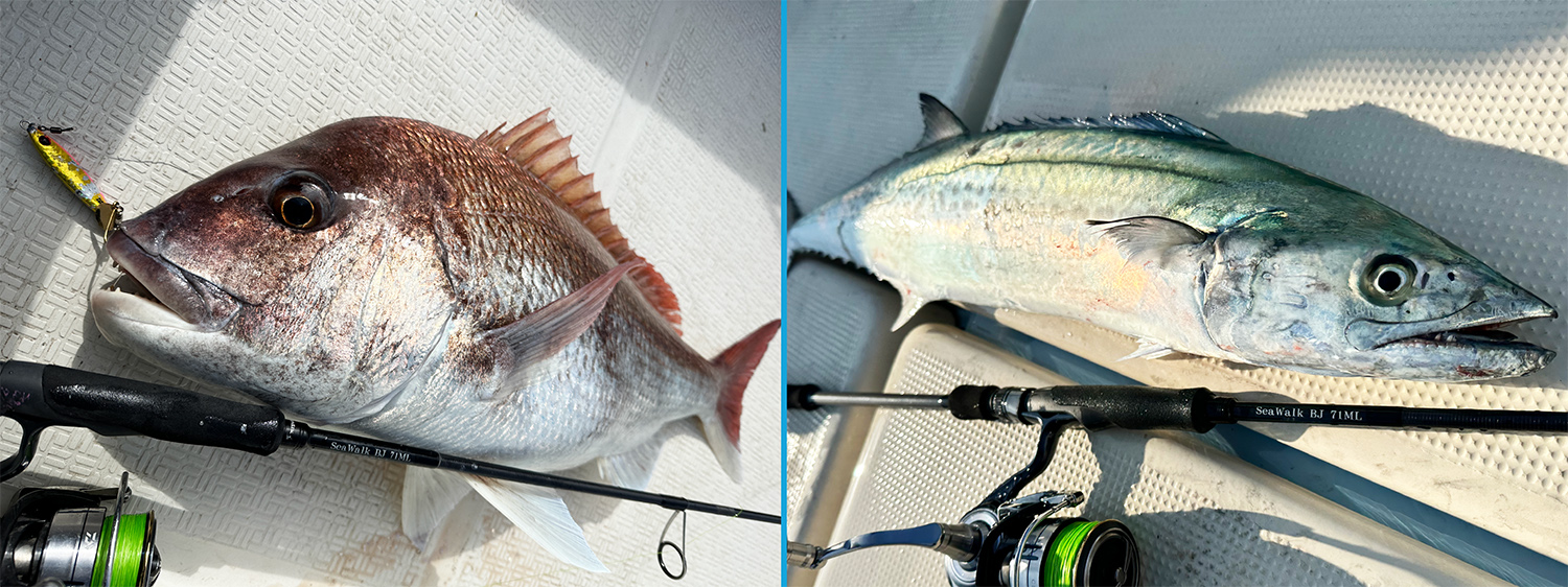2023年新製品】SeaWalk Cast-Jigging Swim&Skip 71ML / 73Mの2機種を