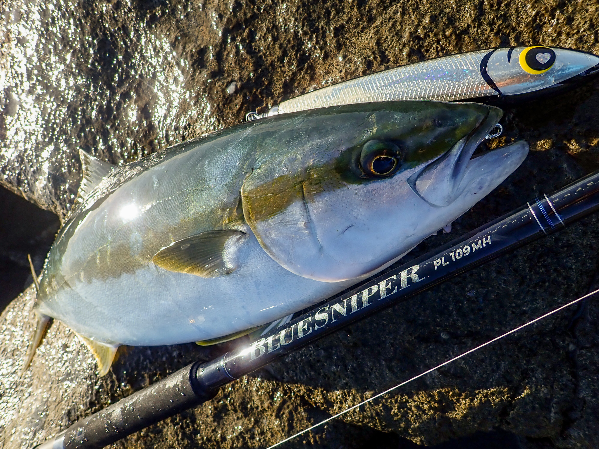 ヤマガブランクス ブルースナイパー 97MMH 【公式通販】