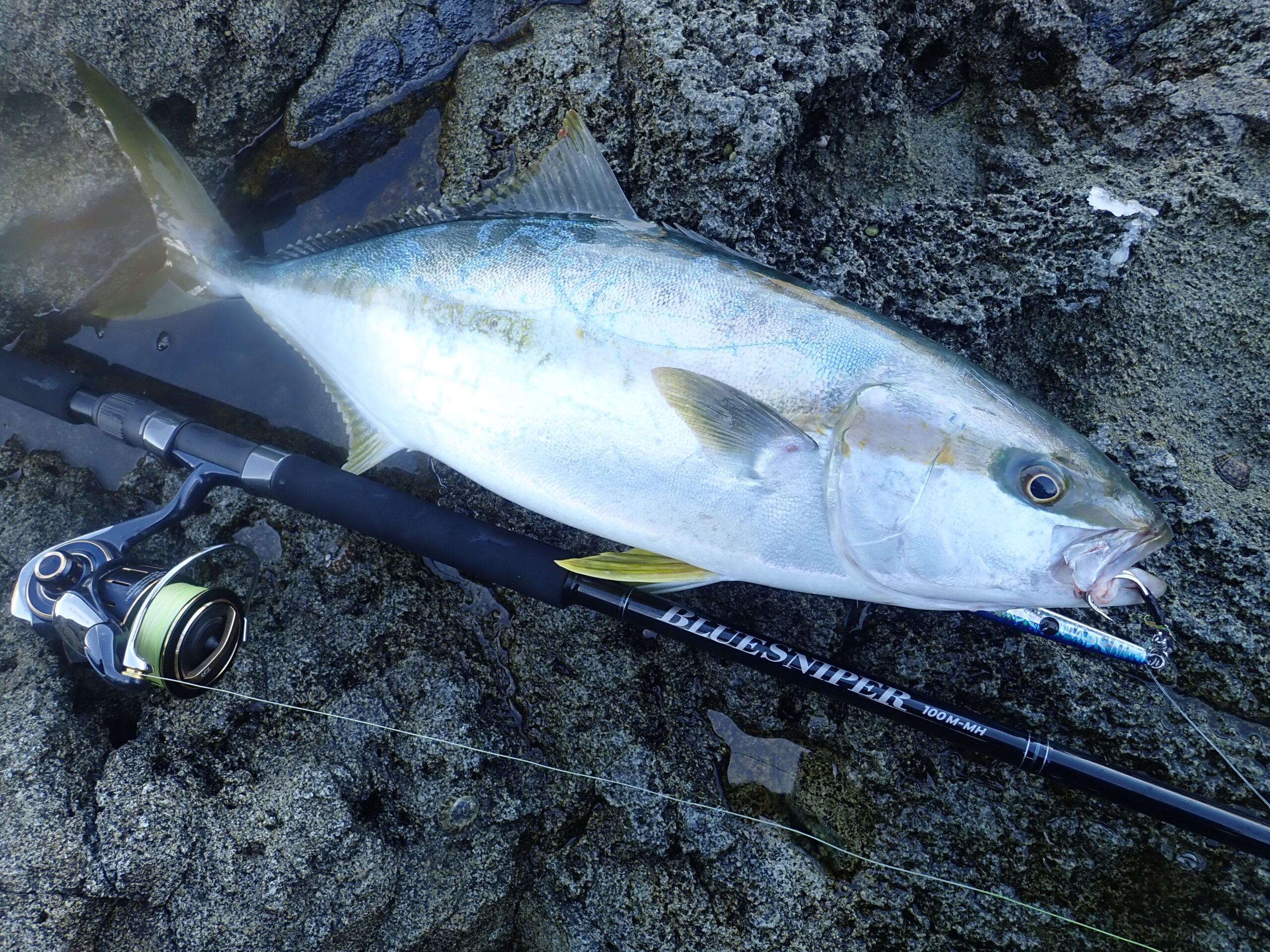 フィールドスタッフレポート】ブルースナイパーシリーズ実釣