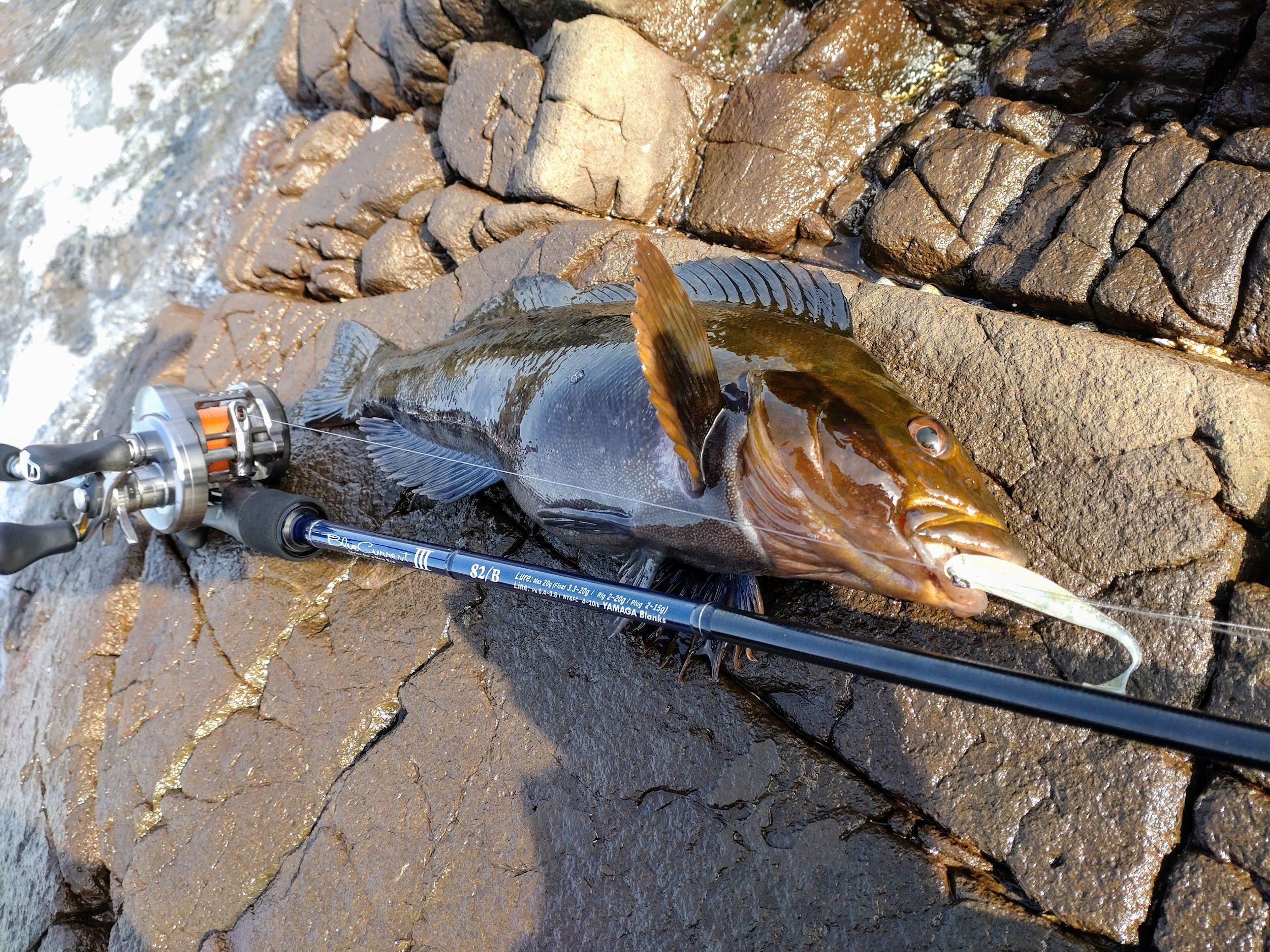 フィールドスタッフレポート】ブルーカレントⅢ 82B × 秋田県男鹿半島