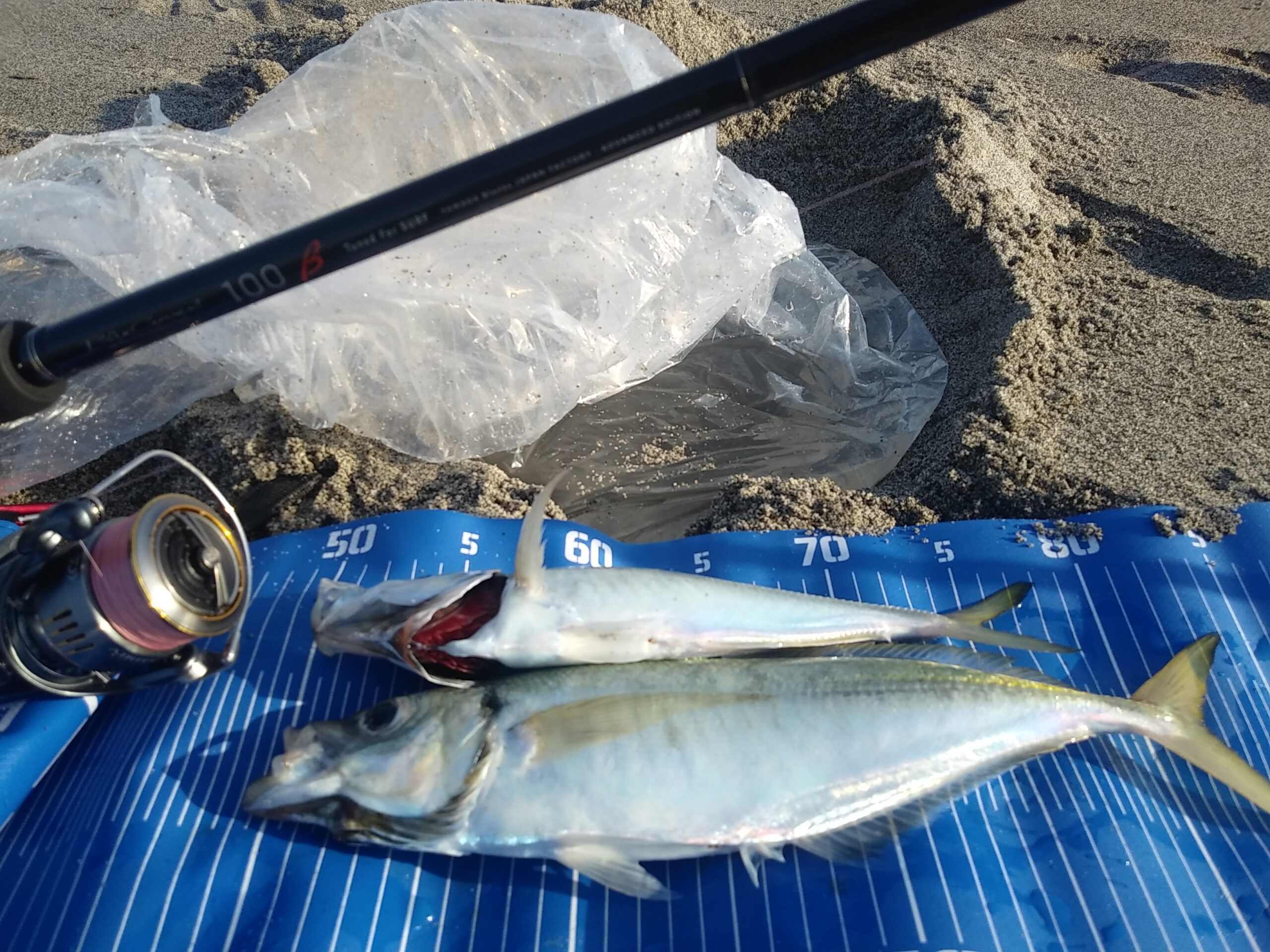 静岡県】サーフアジング BlueCurrent100“BETA ”Tuned for SURF