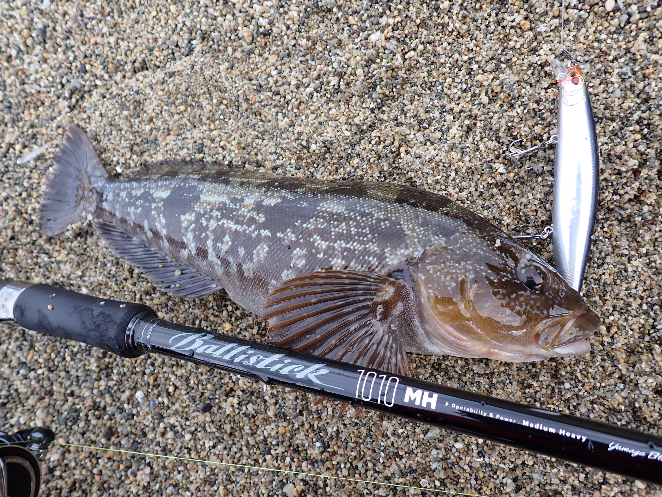 サーフゲームの可能性を広げる」 Ballistick 106M-MH & 1010MH実釣