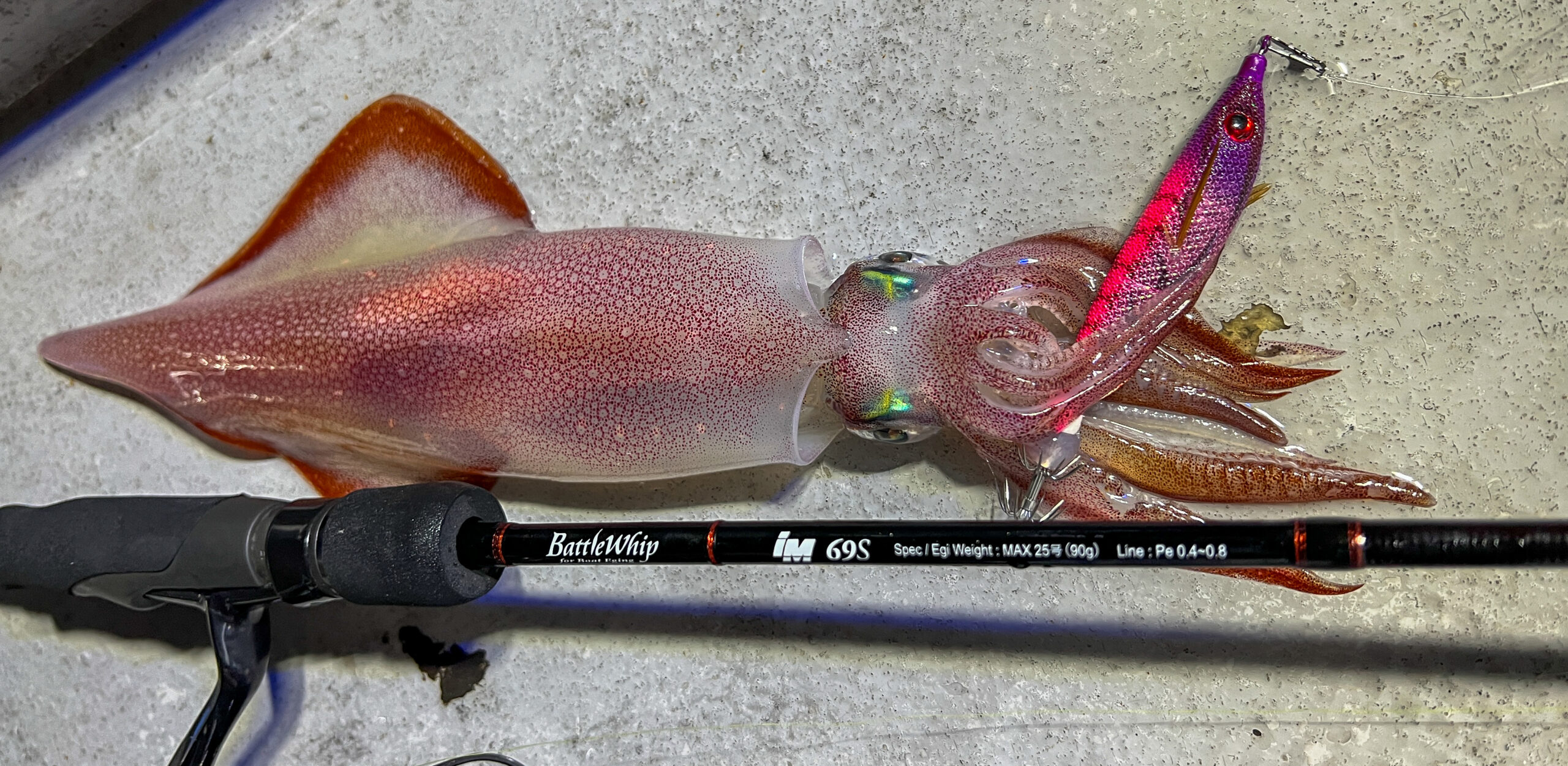 バトルウィップIM解体新書】イカメタルに最適な全4機種を徹底解説