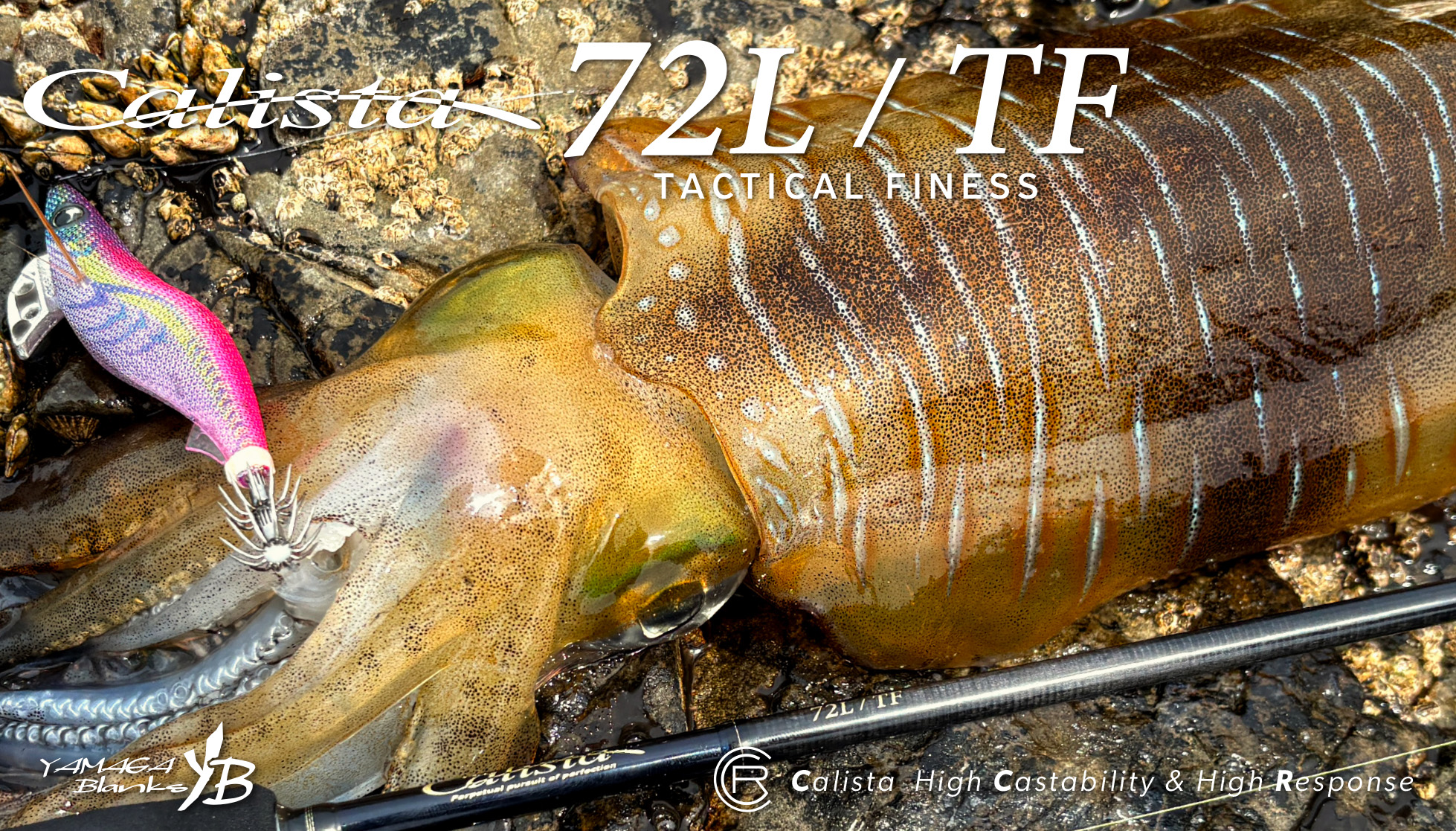 Calista 72L/TF ｜喰わせ特化の切り札【2025年新製品解説】 | YAMAGA