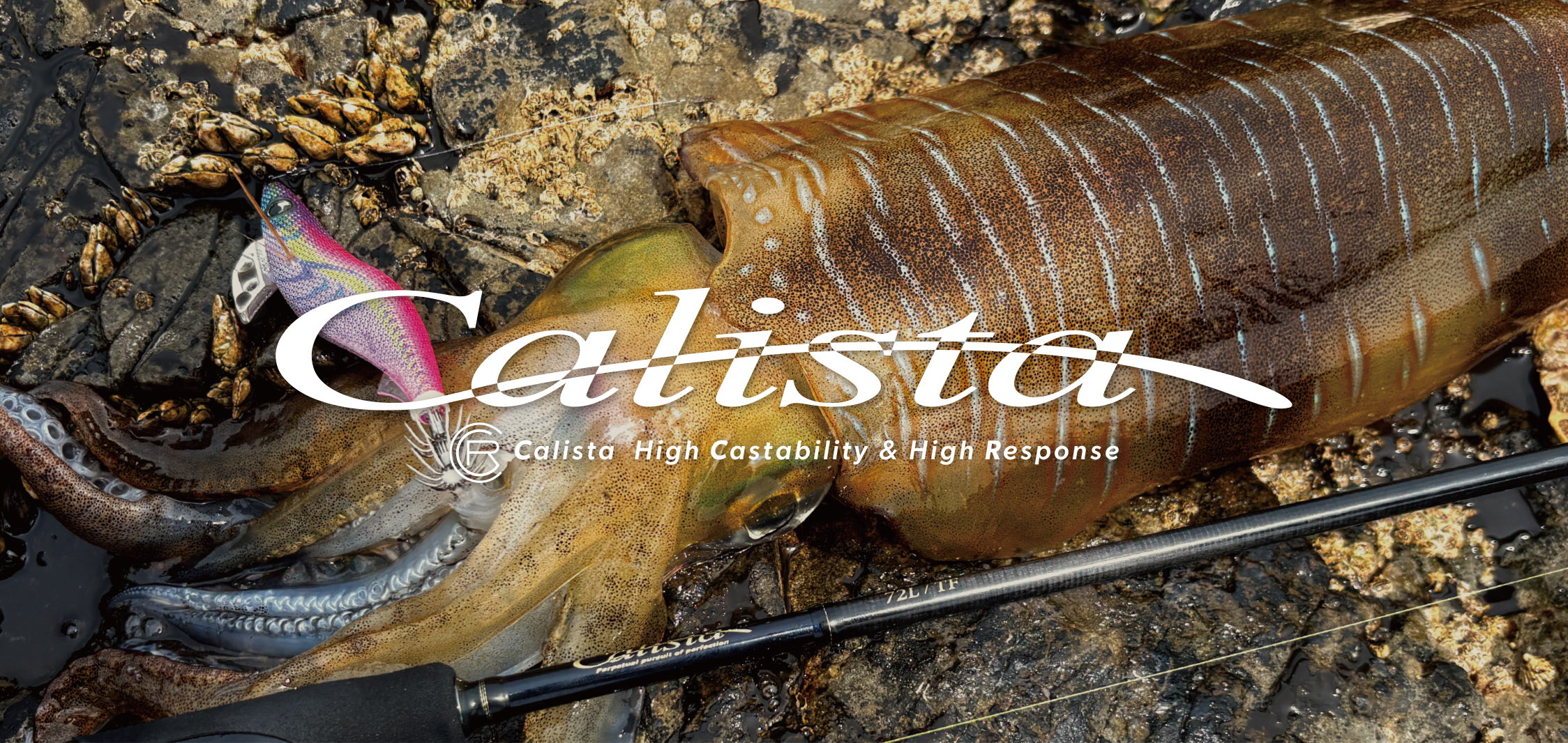 Calista | YAMAGA BlanksYAMAGA Blanks