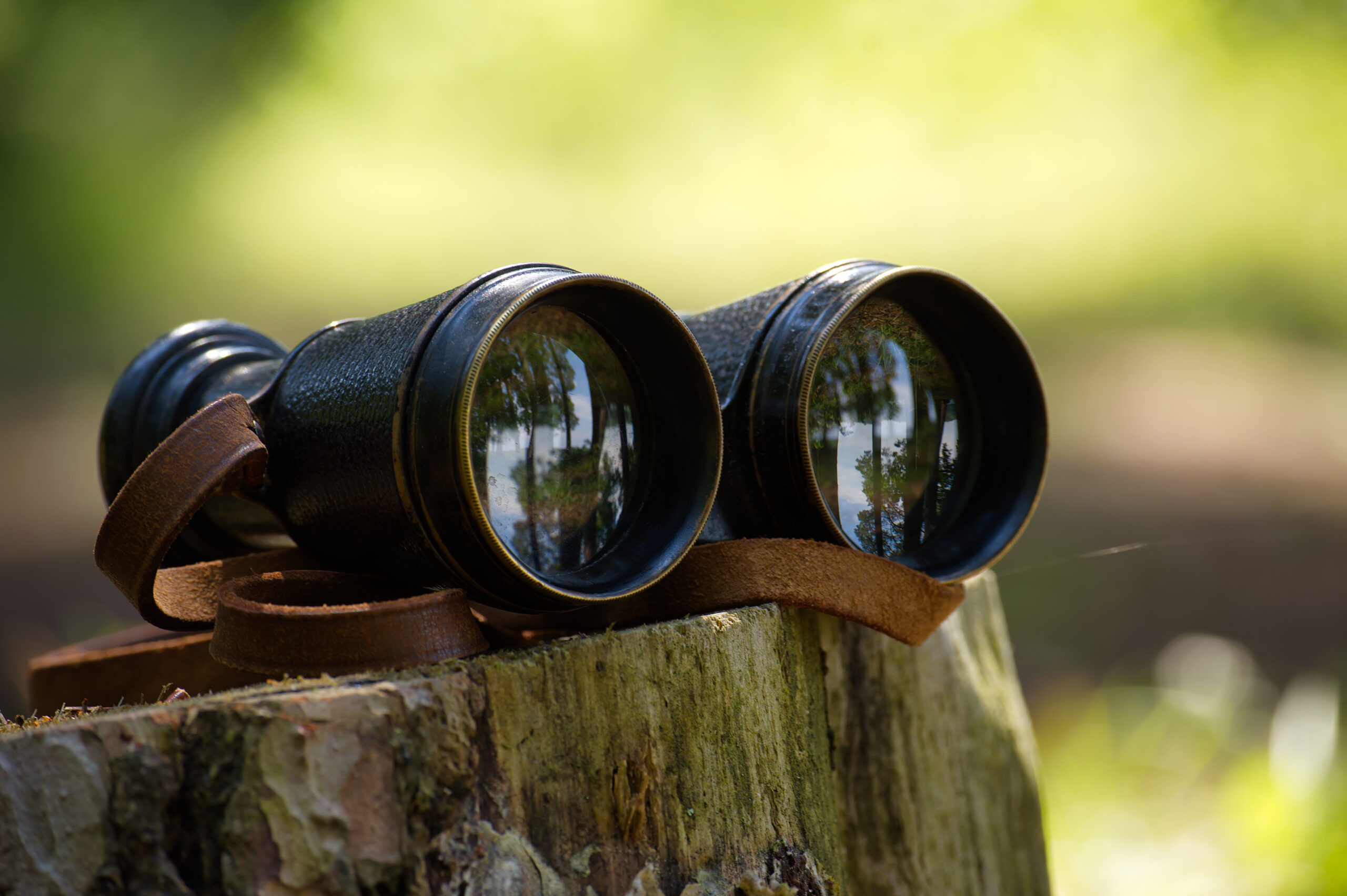 2026年】コンサート用双眼鏡のおすすめ19選！遠くのステージも迫力満点