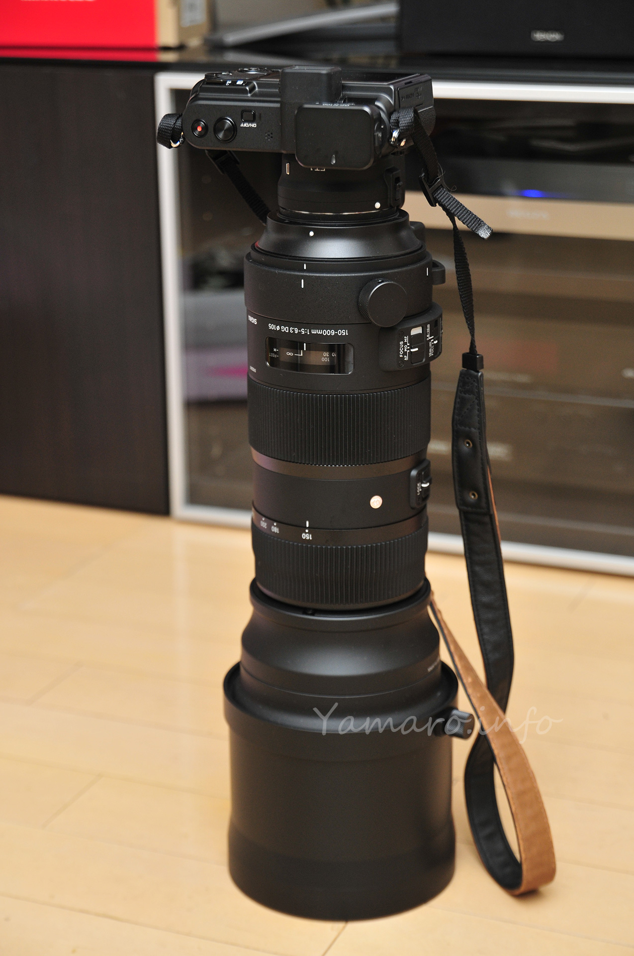SIGMA 150-600mm Sports導入から5年 - Blog@yamaro.info
