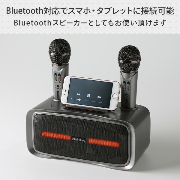 ワイヤレスマイクスピーカー マイク2本付き カラオケ ST-2028 とう