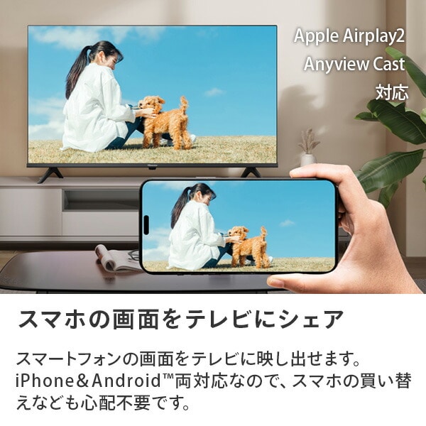 販売終了】テレビ 24V型 2K Wチューナー 24A4N Hisense | 山善ビズコム