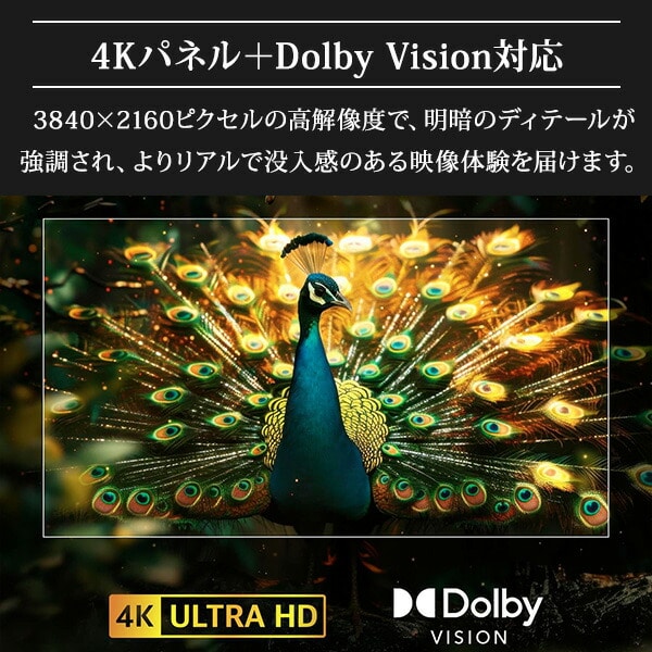 テレビ 43型 ネット動画対応 4K 43インチ QRK-43W4KST 山善 | 山善