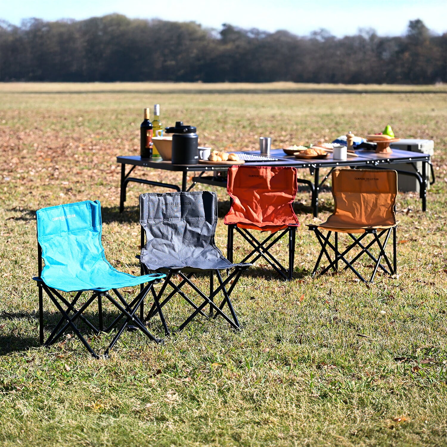 アウトドアチェア コンパクト 耐荷重80kg P-MINI 山善 | 山善ビズコム