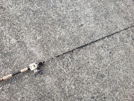 セルヴァ 使いやすい低価格のナマズロッド | 焼津パパ釣行記