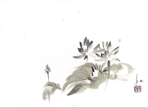 蓮の花と睡蓮の違い。早起きは三文の得｜水墨画で描く蓮始開（はす