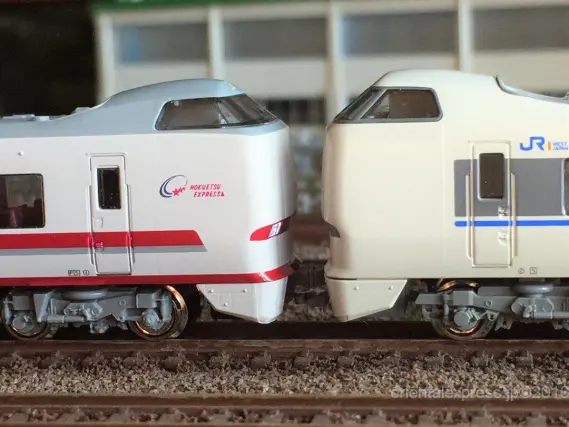 本年最初の入線は683系8000番台「スノーラビット エクスプレス