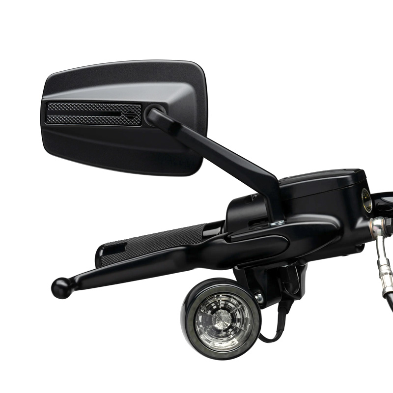 アレンネス□ ミニオーバル マイクロミラー ブラック 【左側】 [263044