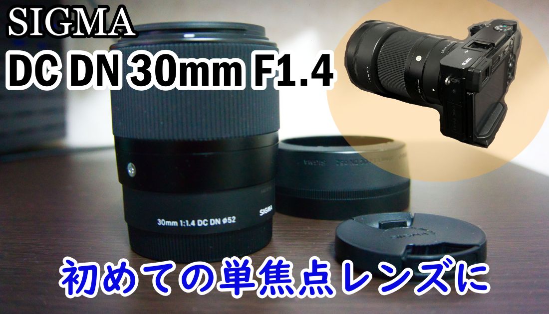 初めての単焦点レンズにオススメ「SIGMA DC DN F1.4 30mm」レビュー