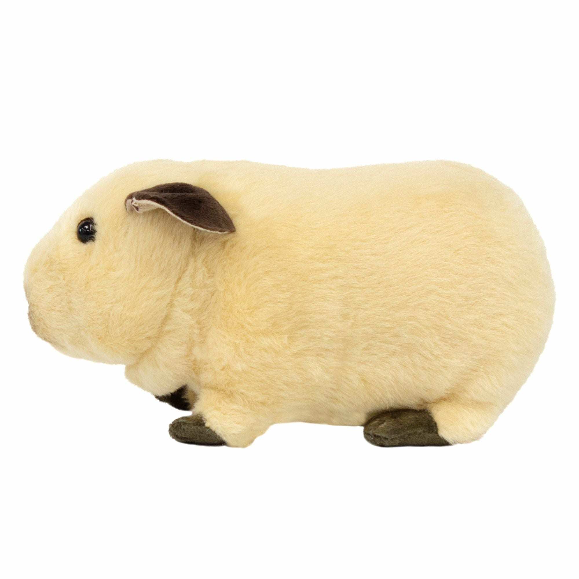 モルモット ロシアンスモーク | 雛人形（ひな人形）・五月人形の吉徳