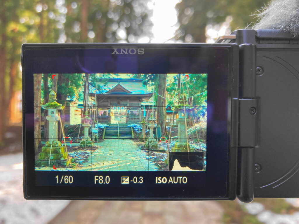SONY APS-Cレンズ SEL35F18をレビュー】初心者さんがレンズ選びで失敗
