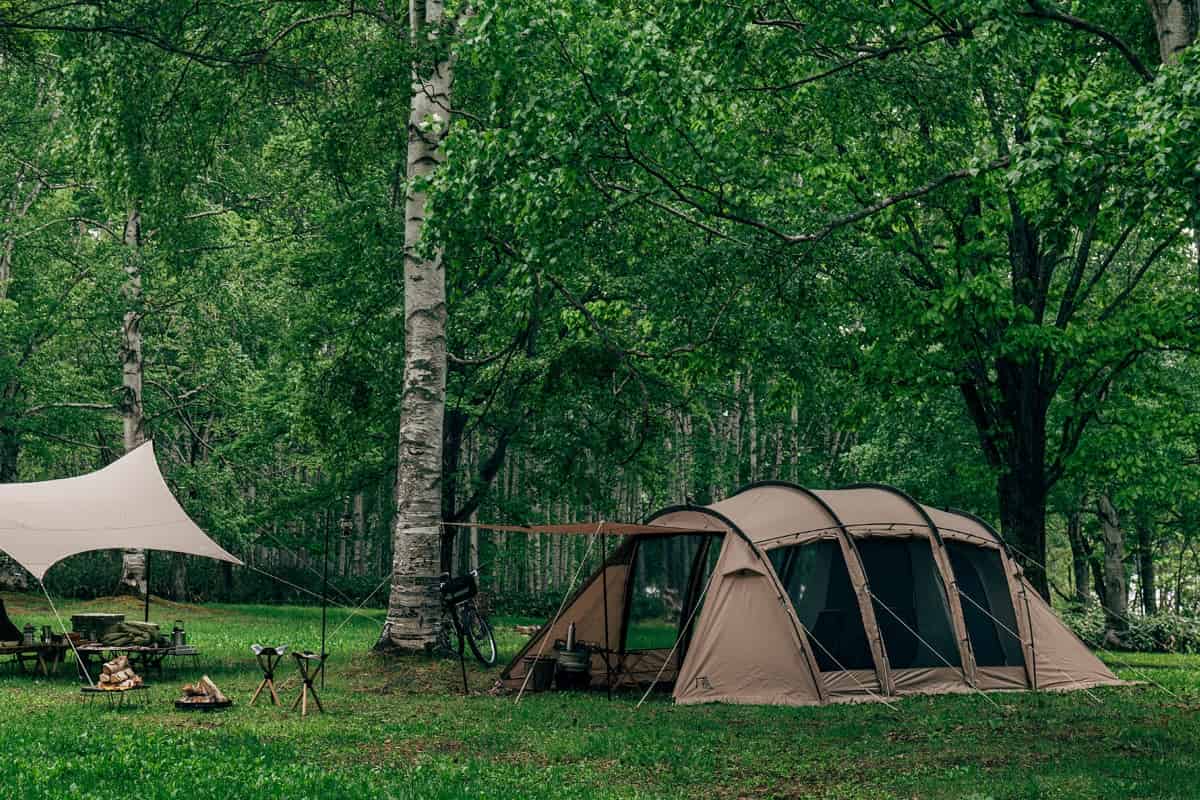 サバティカル アルニカが値下げ！シルエットの美しい人気のトンネル