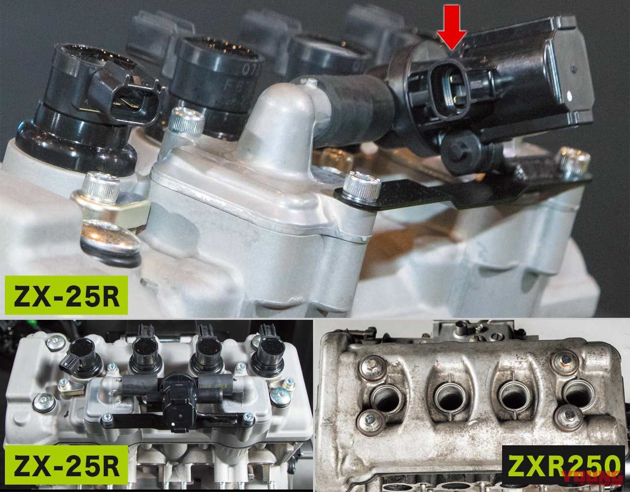 画像 No.2/10] カワサキ ニンジャZX-25R×ZXR250【輪廻#3：エンジン細部