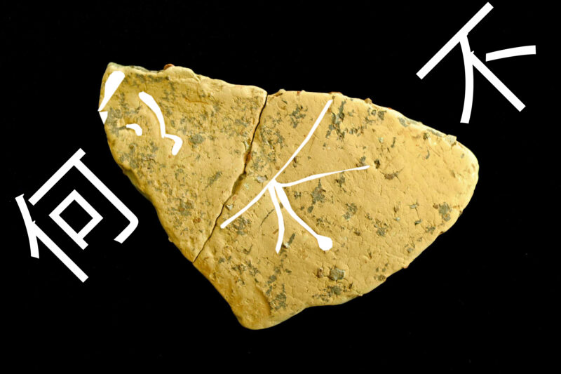 高知】「何不（なぜしないのか）」日本最古級の文章が出土か『若宮ノ東