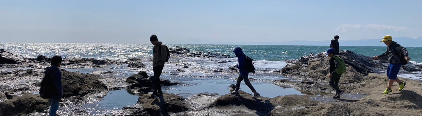 法人概要 – NPO法人 森の仔じゆうがっこう