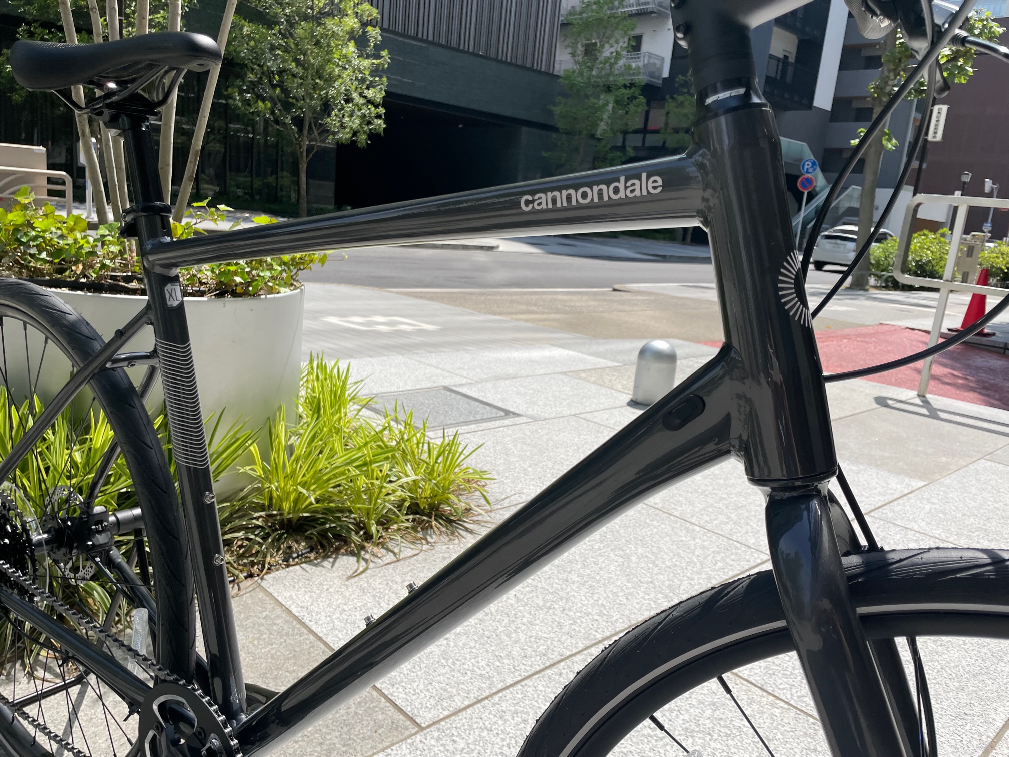 人気のQUICK4の大きいサイズが入荷しました。フィットネスから