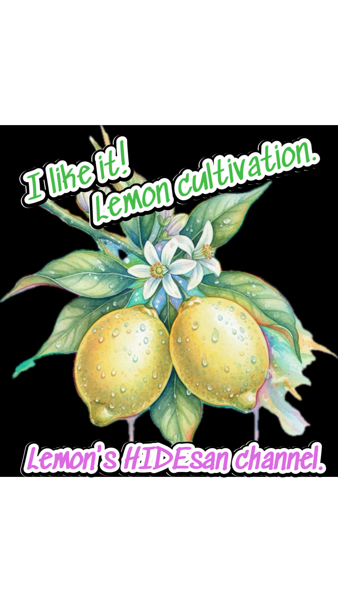 HIDE-1-ヒデさん - YouTube