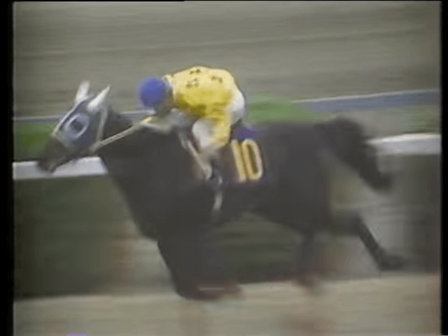 カブラヤオー(1972.6.13)-優駿賞年度代表馬を辿る(No.4)- | 雪の家雑記帳