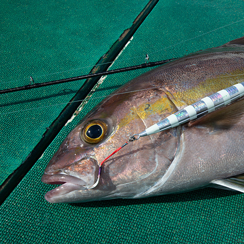 マグロキャスティング】ゼナックから凄いロッド、Tobizo(トビゾー)TC77