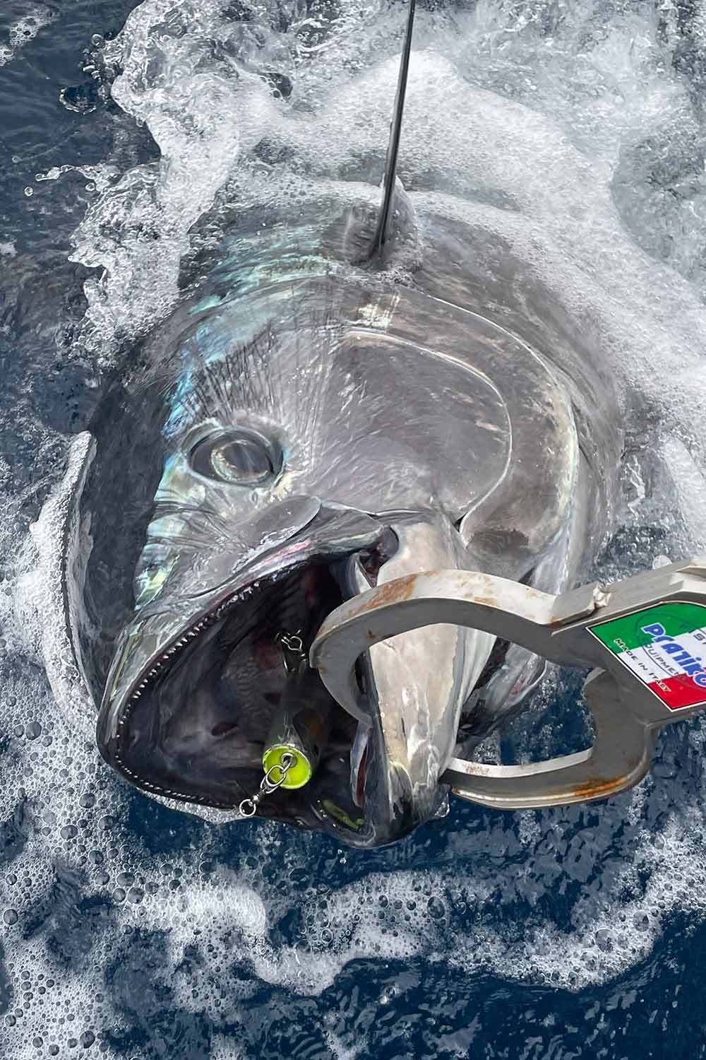 マグロキャスティング最強ルアー!?鈴木斉プロデュース・夢新