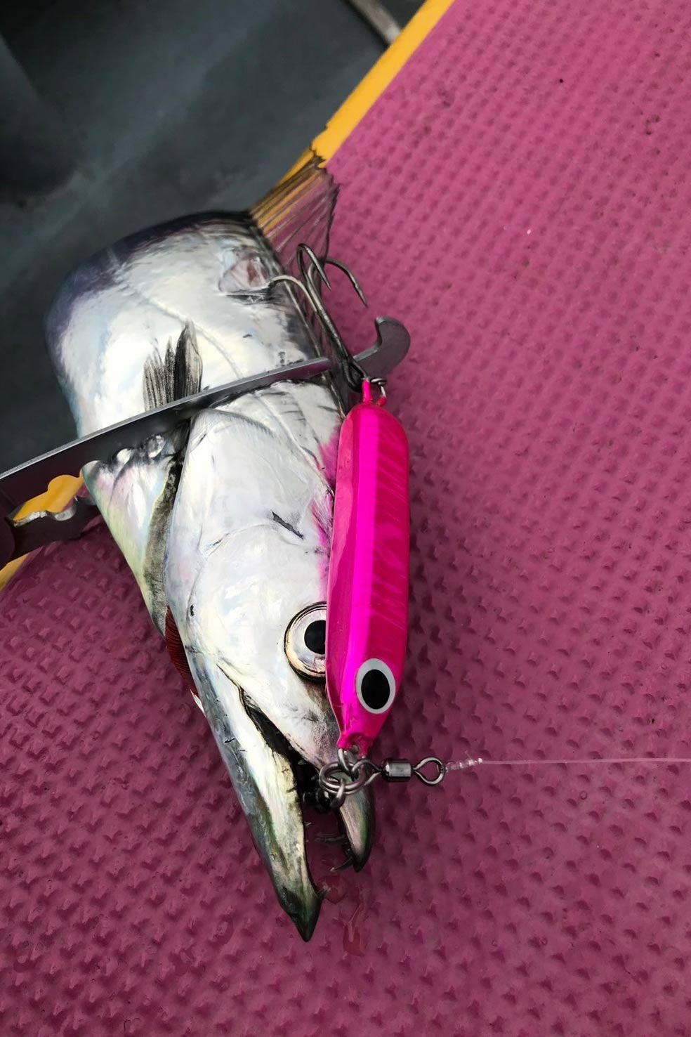 東京湾タチウオジギングにフォーカスした“動かないジグ”サーベル