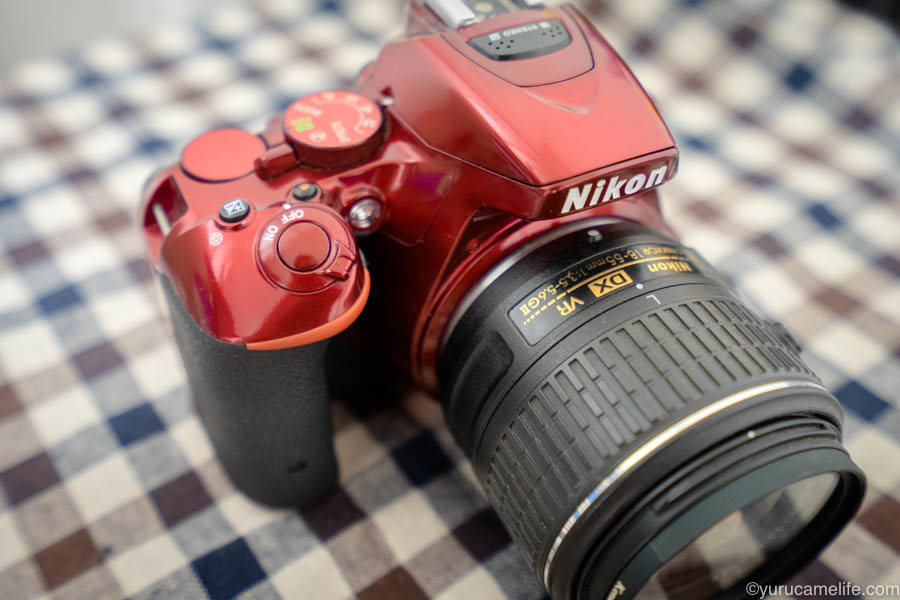 D5500を手にして1年が経ったので、その魅力を思う存分語り尽くしてみる