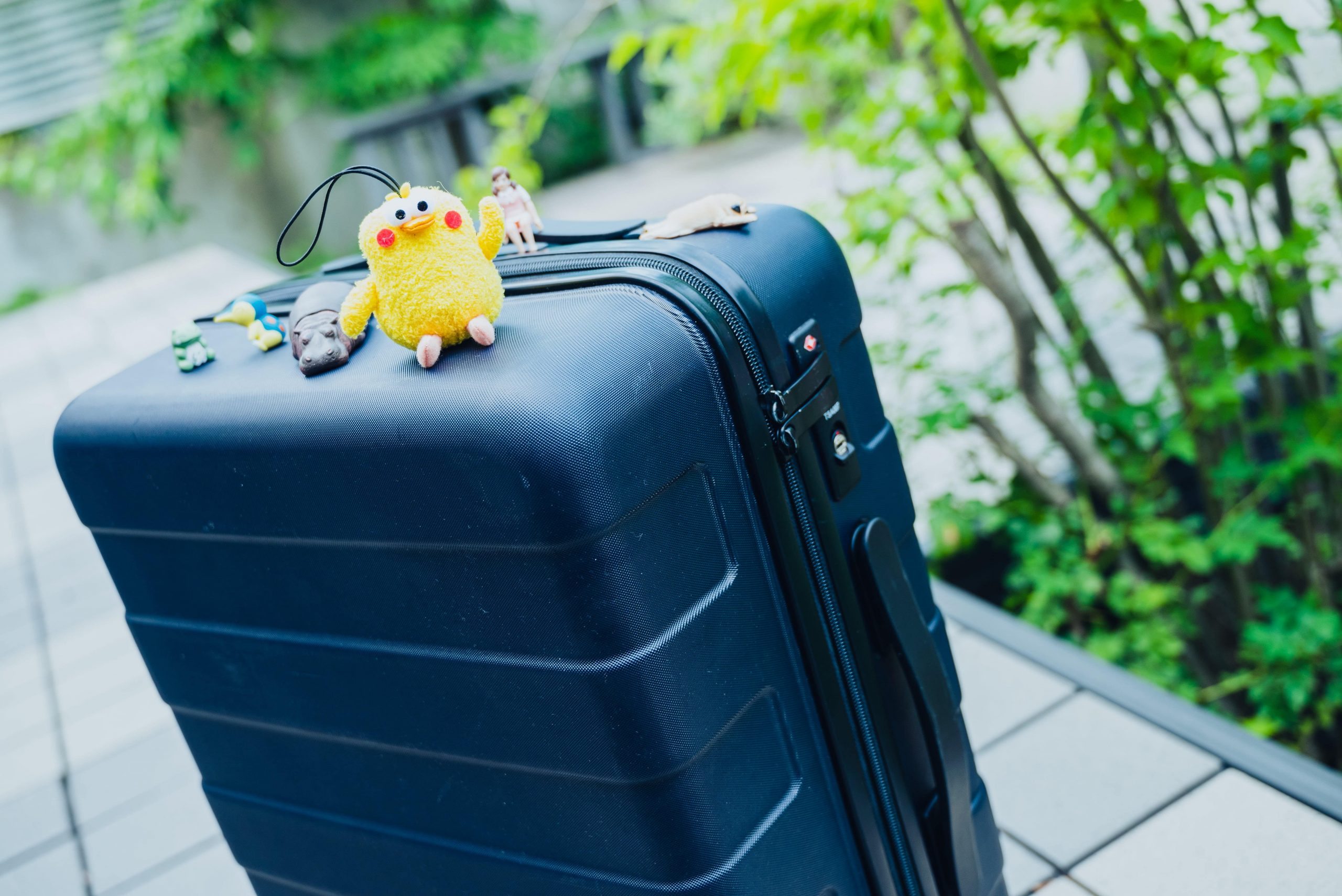 もはや乗り物!? 無印良品スーツケース(35L)のレビュー | ゆとりばてぃ