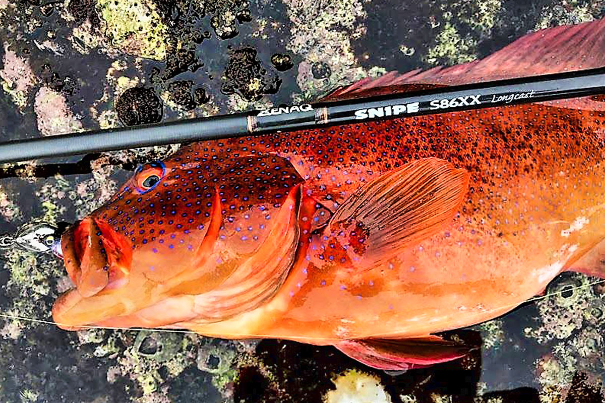 SNIPE - ZENAQ(ゼナック) | オフィシャルサイト