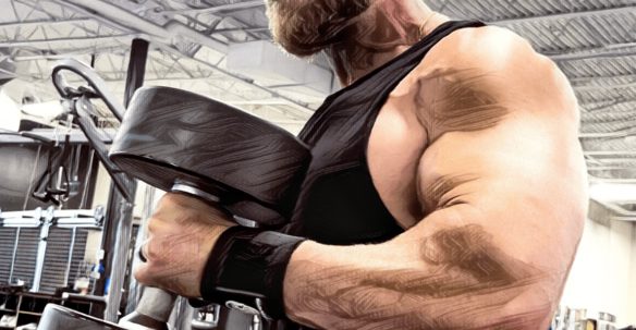 筋トレ】6レップス＋20%増ネガティブ法の具体例：胸、肩、上腕三頭筋編