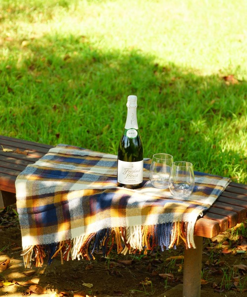 PENDLETON（ペンドルトン） ブランケット モーターローブ With レザー