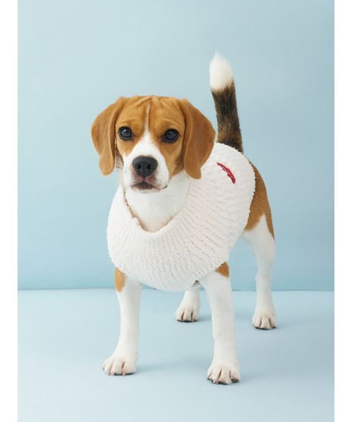 gelato pique（ジェラートピケ） 犬 服 「CAT＆DOG」ベビモコベア