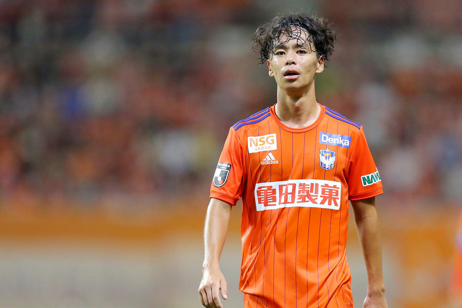 アルビレックス新潟 伊藤涼太郎 神ユニ アルビレックス新潟 13 伊藤