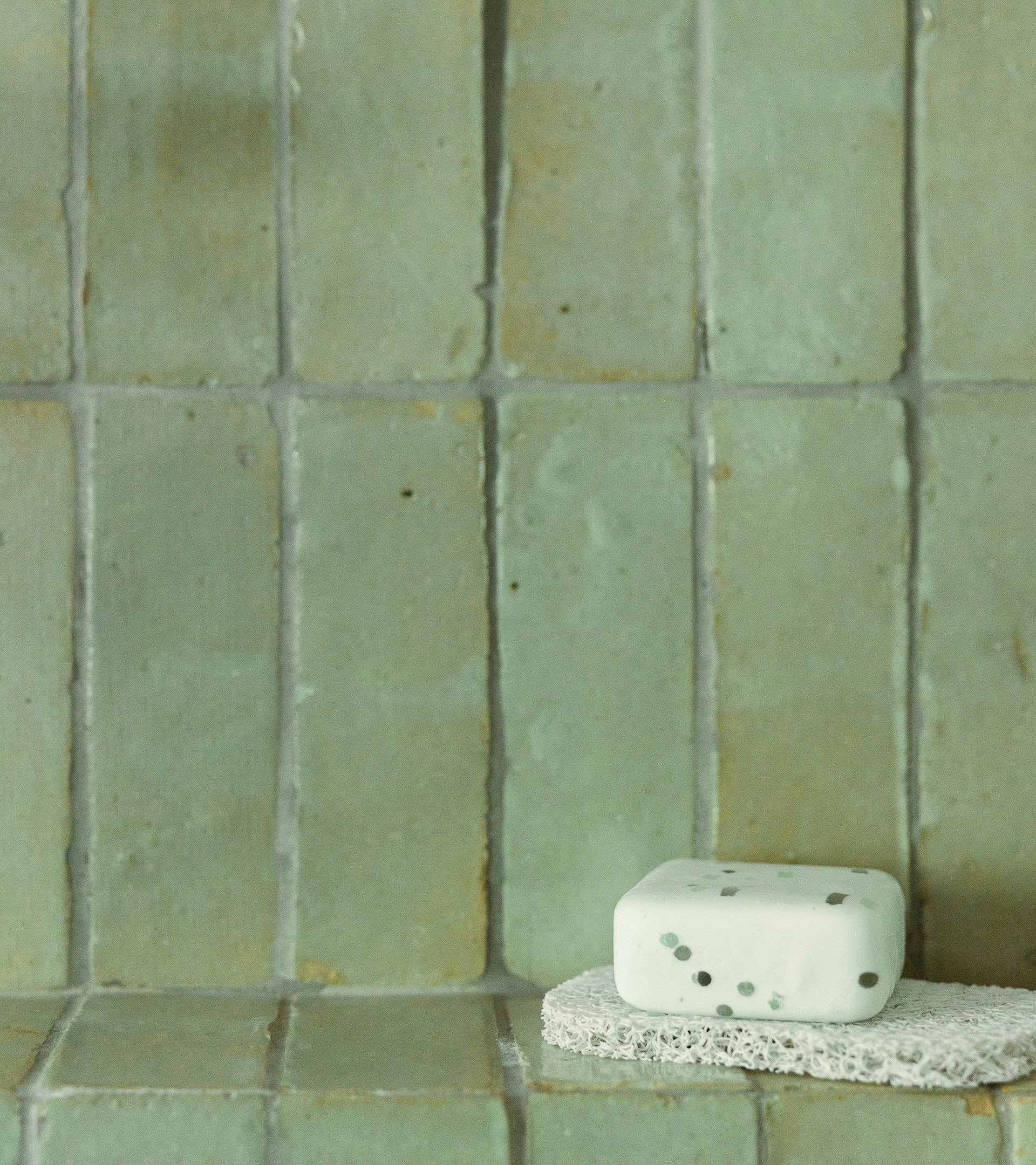 Absinthe 2x6 Bejmat Zellige – Zia Tile