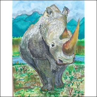 福岡市動物園｜第48回 児童および幼児動物画コンクールの入賞者について