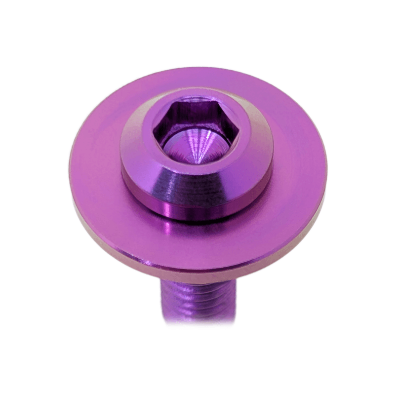 ZSPEC Fastener Kit, Door Jams Area for Nissan 300zx Z31, Titanium