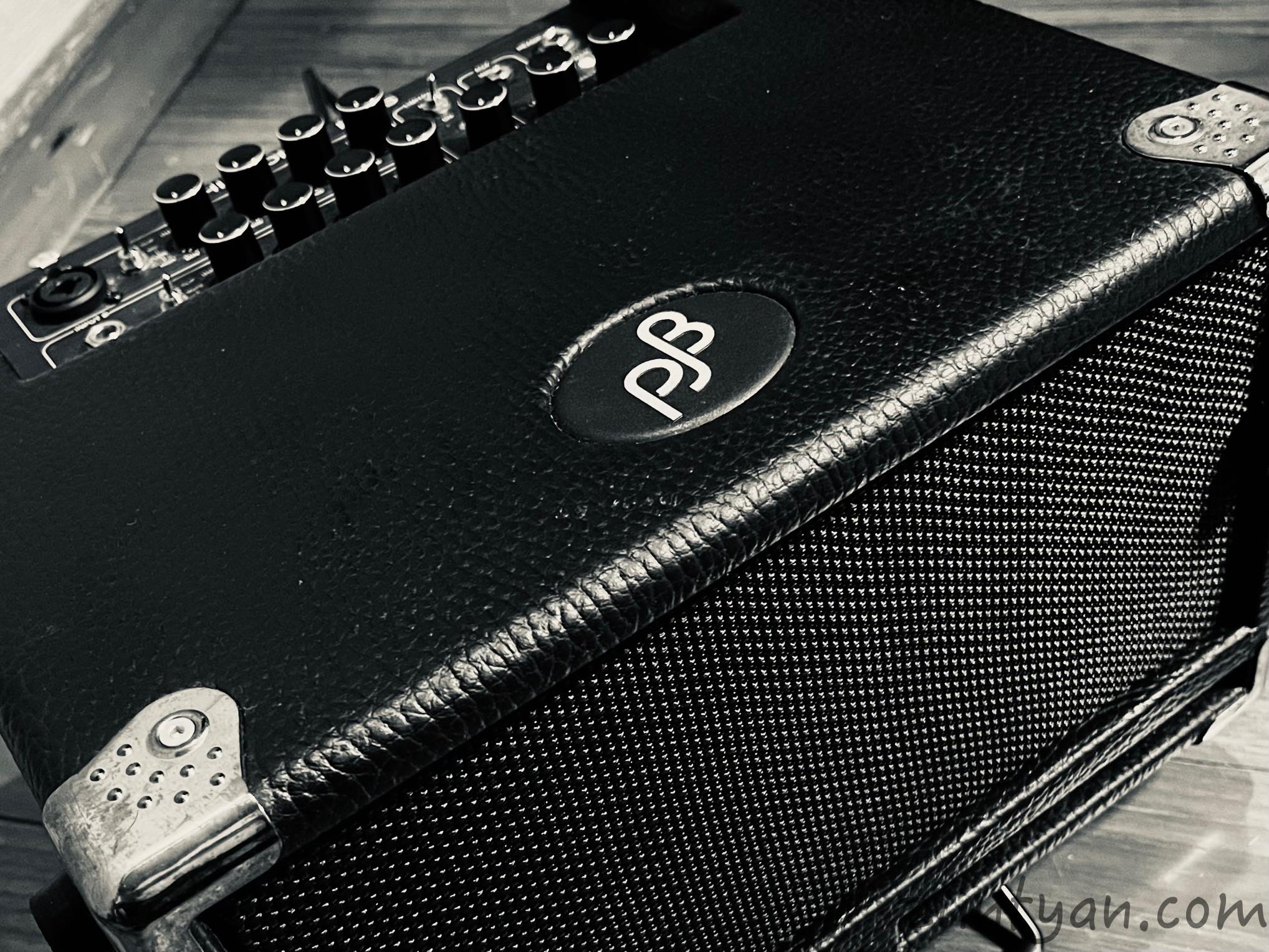 PJB（PHIL JONES BASS）BASS CUB - zuntyan.com