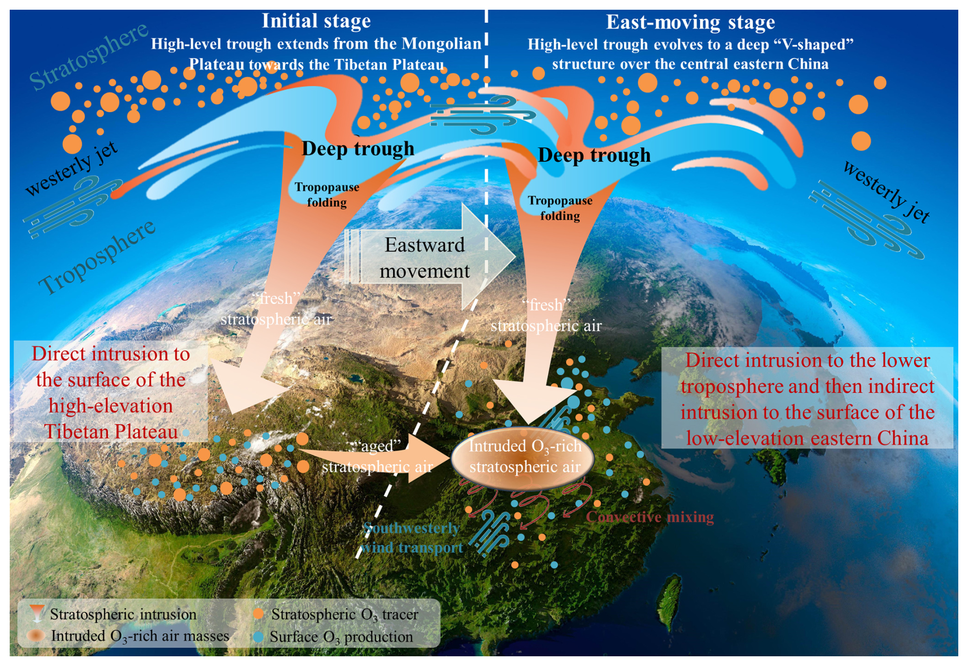 ACP - Widespread stratospheric intrusion influence on summer ozone
