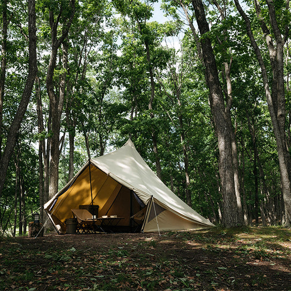 サバティカル モーニンググローリー TC – aandfonlinestore
