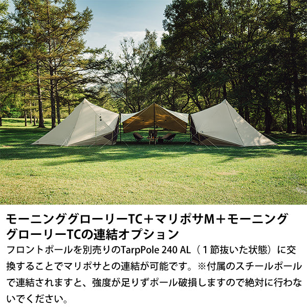 サバティカル モーニンググローリー TC – aandfonlinestore