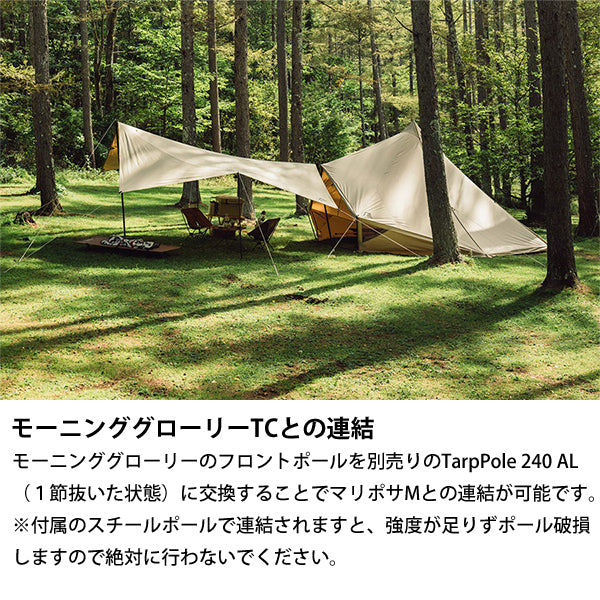 サバティカル マリポサ Mサイズ TC – aandfonlinestore