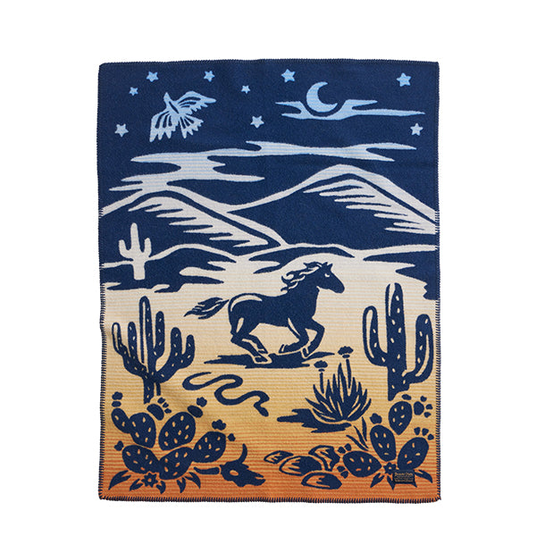 PENDLETON／ペンドルトン ブランケット 【A&F エイアンドエフ