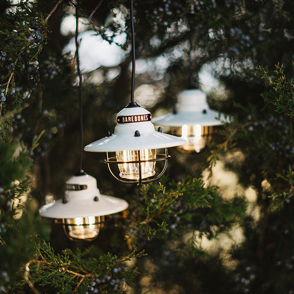 ベアボーンズ エジソンストリングライトLED – aandfonlinestore