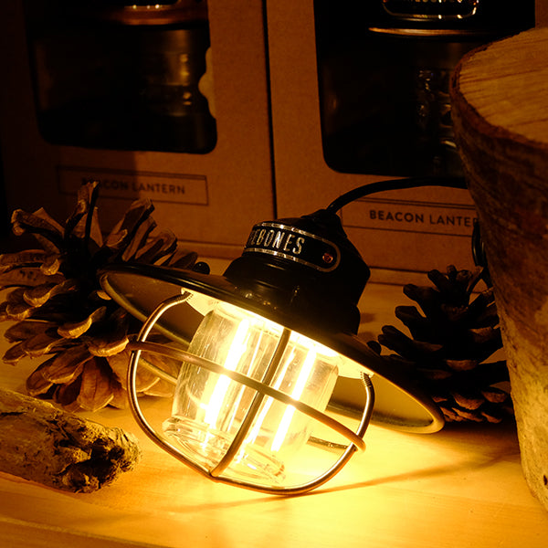 ベアボーンズ エジソンストリングライトLED – aandfonlinestore